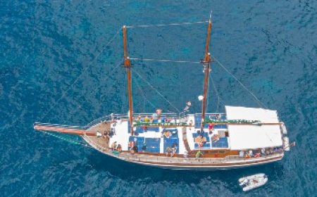segelboot_bonita_de_madeira_wal_und_delfinbeobachtung_featured_600x216