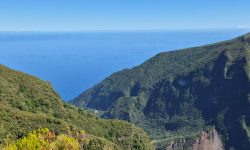 hike_fanal_fairy forest_featured_600x216