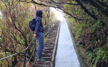 wanderung_levada_do_alecrim_&_wind_lagune_featured_600x216