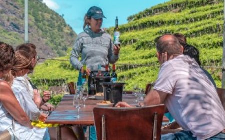 winesafari_featured_600x216