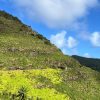 Wanderung Levada & Poncha – Bild 2