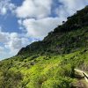 Wanderung Levada & Poncha – Bild 4