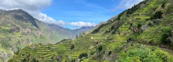 Wanderung Levada do Norte – Bild 5