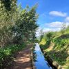 Wanderung Levada do Norte – Bild 2