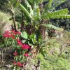 Wanderung Maroços – Bild 3