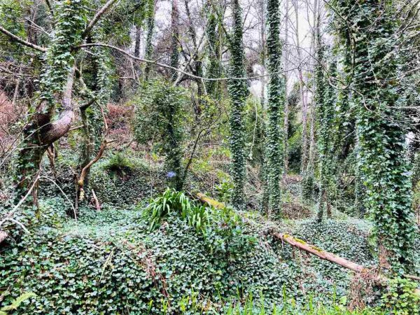 Wanderung Paradiestal – Bild 4