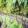 Wanderung Queimadas / Caldeirão Verde
