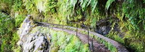 Wanderung Queimadas / Caldeirão Verde