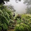 Wanderung Queimadas / Caldeirão Verde – Bild 2