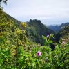 Wanderung Queimadas / Caldeirão Verde – Bild 3