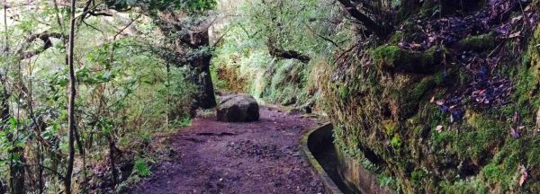Wanderung von Ribero Frio nach Portela – Bild 9