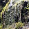 Wanderung von Ribero Frio nach Portela – Bild 8