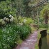 Wanderung von Ribero Frio nach Portela – Bild 7