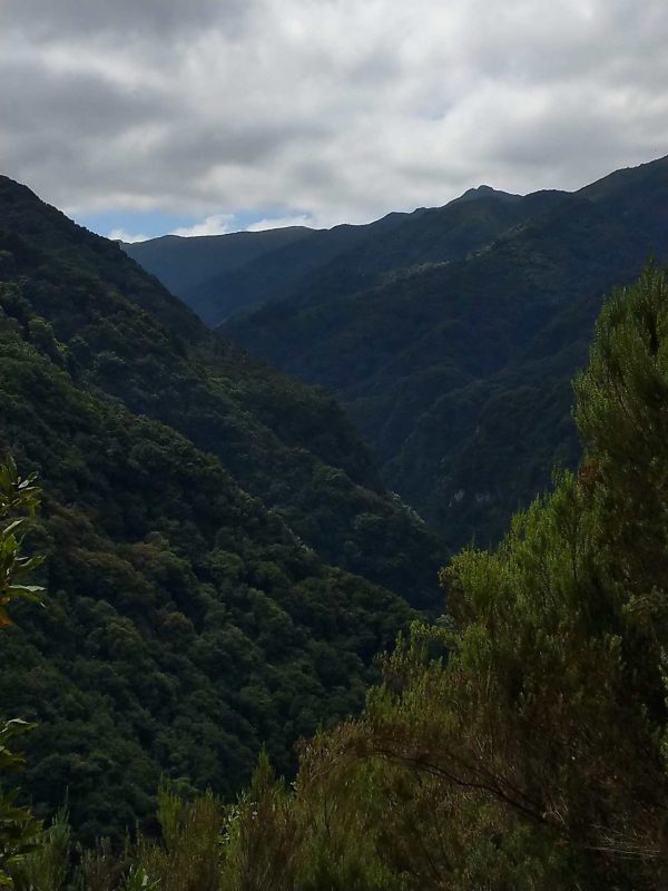 Wanderung von Ribero Frio nach Portela – Bild 6