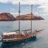 Wal – und Delfinbeobachtung mit dem Segelboot Bonita da Madeira – Bild 3