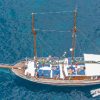 Wal – und Delfinbeobachtung mit dem Segelboot Bonita da Madeira