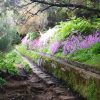 Wanderung zum Tal von Rabaçal – Bild 8