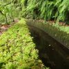 Wanderung zum Tal von Rabaçal – Bild 2
