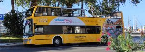 Yellow Bus