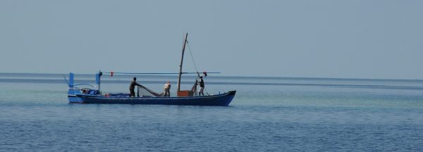 Fishing trip