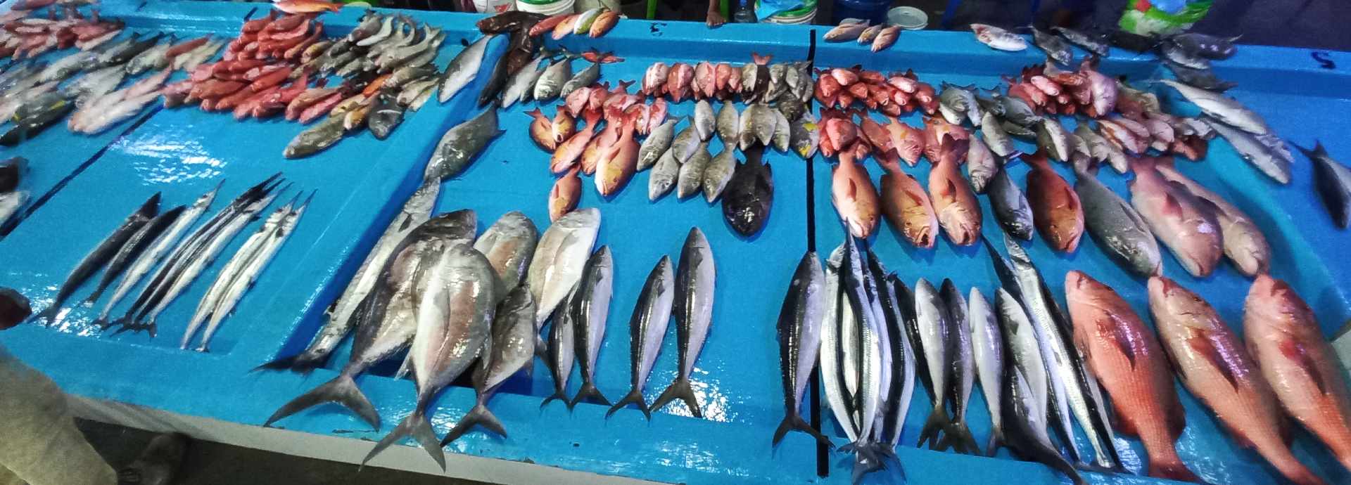 Maldivian fishing industry