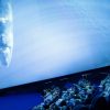 Palma Aquarium & Palma – Bild 2