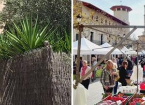 Kombi-Paket Dörferfahrt/Zauberhaftes Mallorca