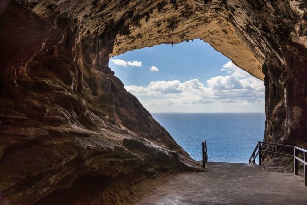 Combinatiepakket Arta Markt & Grotten / Formentor Xperience & Alcudia Markt – Afbeelding 4