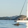 Segel-Katamaran Blue Mediterraneum (mit/ohne Transfer)