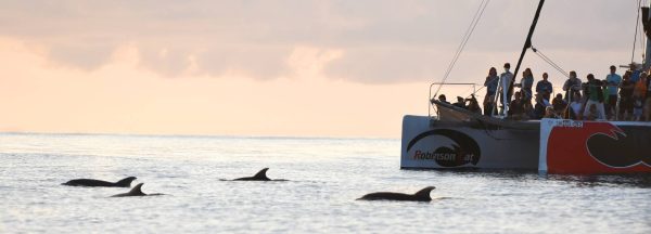 Catamarán de vela Robinson Boat – foto 3