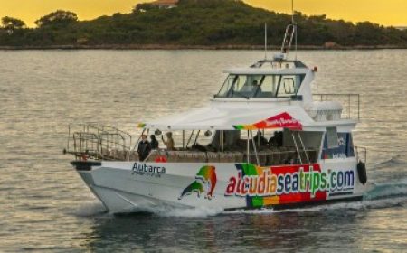 delfin_trip_aubarca_600x218_featured