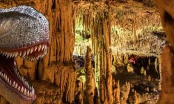 dinos_hamshoehlen_xperience_600x218_featured