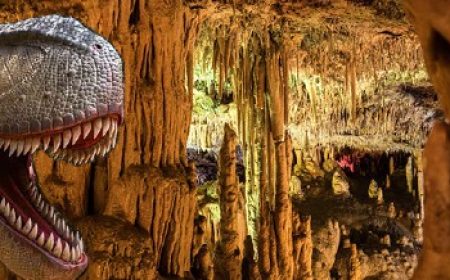 dinos_hamshoehlen_xperience_600x218_featured