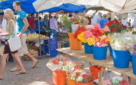 formentor_markt-alcudia2_1920x690