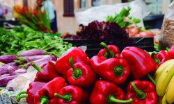 formentor_markt_sineu4_1920x690