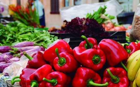 formentor_markt_sineu4_1920x690