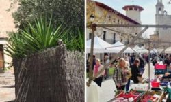 kombipaket_zauberhaftes_mallorca_doerferfahrt_600x218_featured