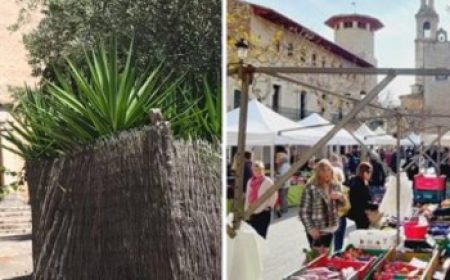 kombipaket_zauberhaftes_mallorca_doerferfahrt_600x218_featured