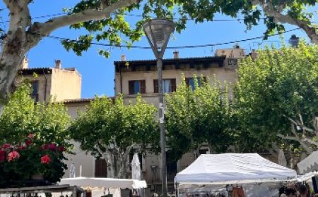 markte_mallorca_featured_600x350