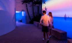 palma_aquarium_palma_600x218_featured