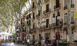 palma_stadt_mit_freizeit_featured_600x216