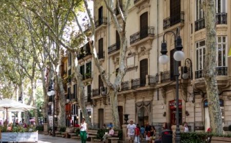 palma_stadt_mit_freizeit_featured_600x216