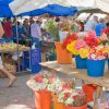 Formentor Xperience und Markt Alcudia