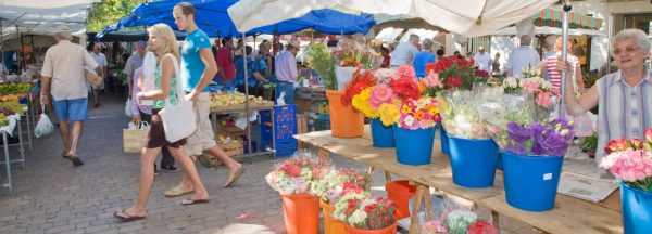 Formentor Xperience a Market Alcudia