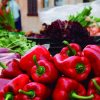 Formentor Xperience und Markt von Sineu