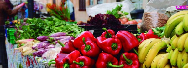Formentor Xperience és Sineu Market