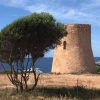 Mallorca anders