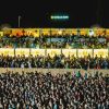 Mallorca Live Festival (Eintrittskarte) – Bild 3
