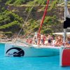 Segel-Katamaran Robinson Boat