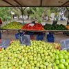 Wochenmarkt und Altstadt von Rhodos Stadt – Bild 3